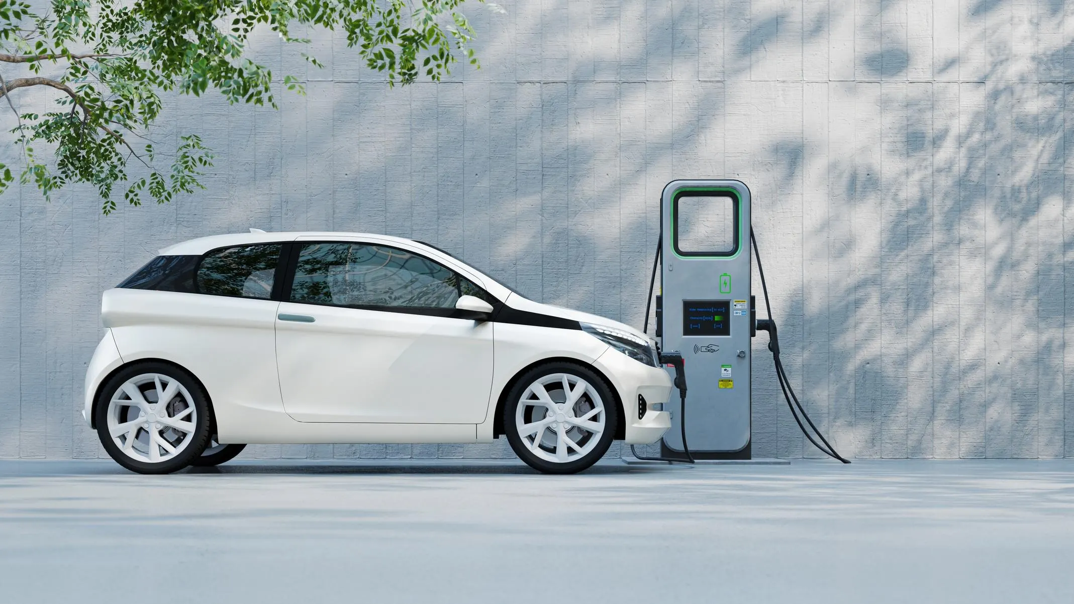 Automotive & Electric Vehicle (EV)